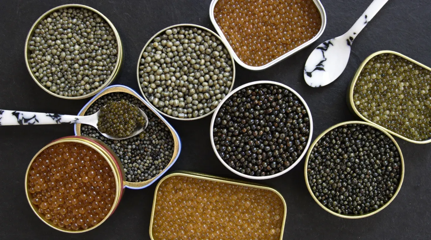 Varias latas abiertas de distintos caviares sobre fondo negro